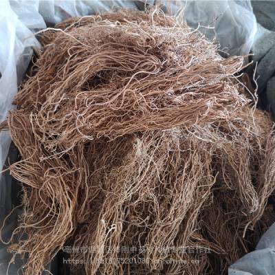 细辛的药用价值 细辛的主治作用细辛价格多少一公斤