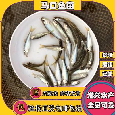 Բ ˮˮˮӦ ɹֱ
