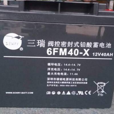 三瑞6FM40-X蓄电池12V40AH控制机房数据中心用铅酸蓄电池