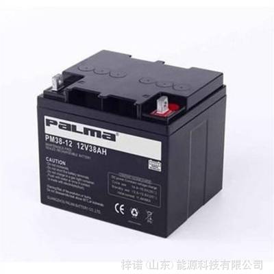 PALMA八马蓄电池铅酸免维护PM38-12 12V38AH UPS/EPS直流屏