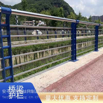 特振 景区河道防护栏 公园栈道防腐木扶手不锈钢立柱护栏 桥梁护栏