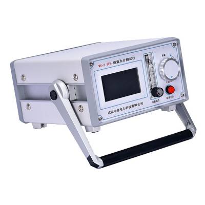 WS-2 SF6΢ˮֲ