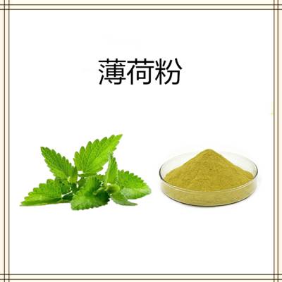 薄荷粉 喷雾干燥 全水溶薄荷浓缩粉