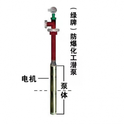 绿牌冰醋酸防爆潜泵正压输送无气阻YQYB-300-20-2.2
