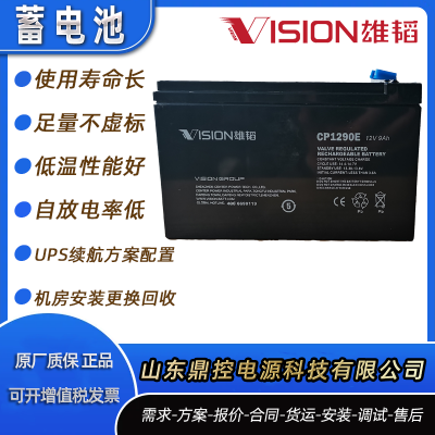 雄韬VISION威神6FM40-X长寿命铅酸蓄电池12V40AH门禁监控电源维修