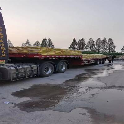 贺州钟山无收缩灌浆料 微膨胀H40H60砂浆 包过检测