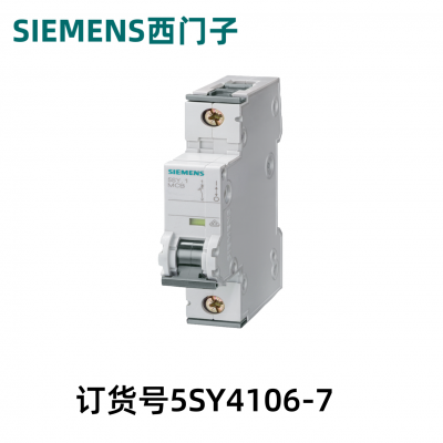 5SY4106-7СͶ· 230/400V 10kA1C6A