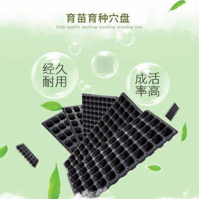 黄瓜芹菜育苗盘128孔24孔 塑料材质 生产厂家育苗穴盘不变形