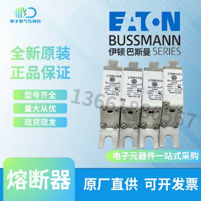 170M2676 170M2677 170M2678Bussmann˹۶˿