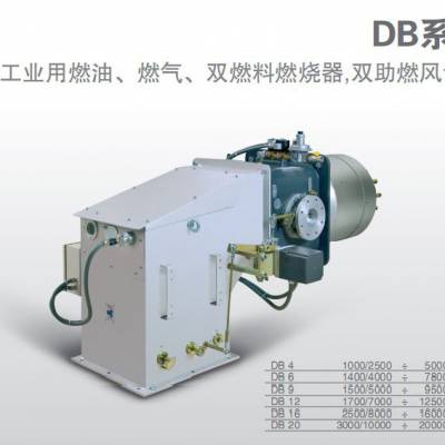 利雅路分体DB6SM燃烧机