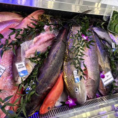 2026年美国波士顿国际水产品博览会Seafood Expo North America