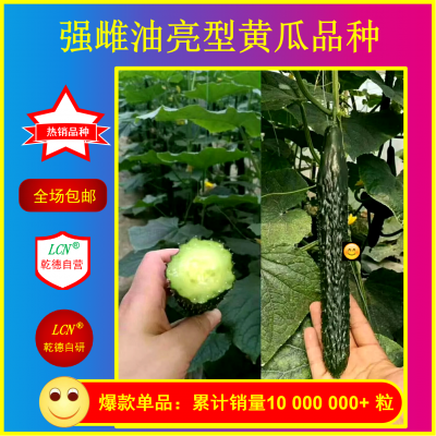 乾德777、油亮型黄瓜、农业部登记品种