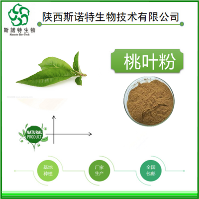 SC资质原料厂 桃叶提取物10:1 速溶 桃叶粉 现货包邮