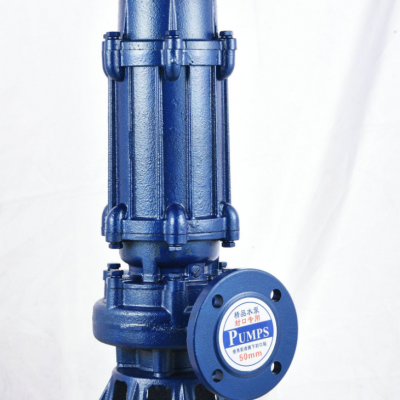 潜水排污泵 潜水污水排污泵 自动搅匀潜污泵300-800-15-3500-55