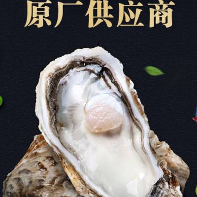 生蚝怎么吃最有营养