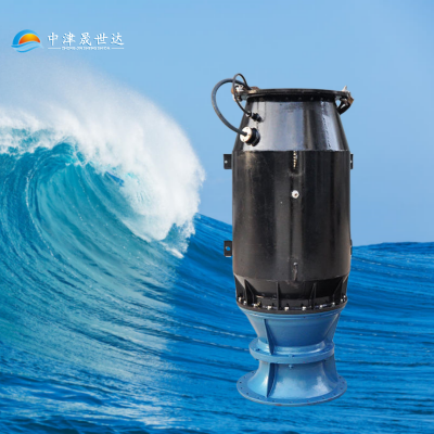 中津晟世达黄河取水浮筒式潜水轴流泵SSD700QZB-160-155kw