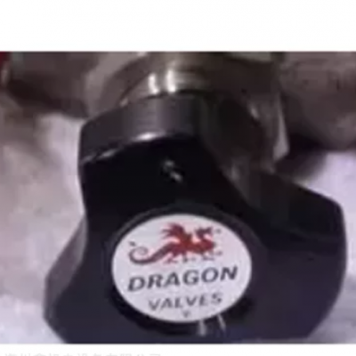 质量*** 美国DRAGON VALVES控制阀 美国DRAGON VALVES控制阀