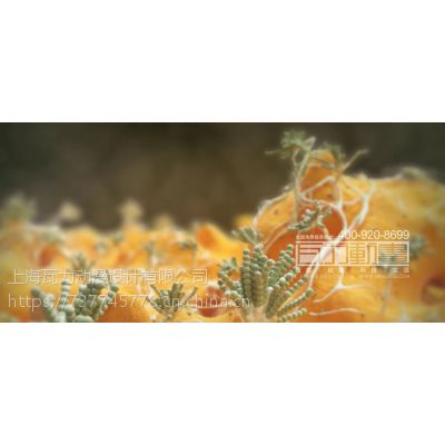 ҵ˾