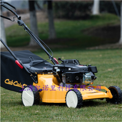 ƵCub Cadet 19CUT880ĳ̱ﶯƺƲݻ