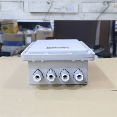 BJX-300x400x500mm防爆端子箱