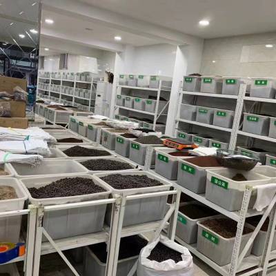 千日红玉簪花子鸡冠花头状花种籽羽扇豆玉米草籽散尾葵野皂荚