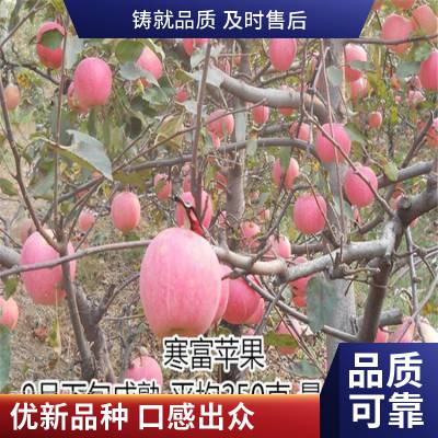 һƻعӦ߶ũ