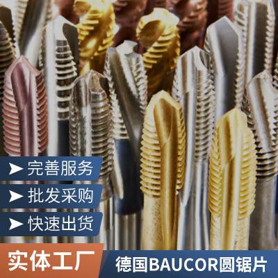 德国BAUCOR圆锯片锯齿锯片木制材料金属切割