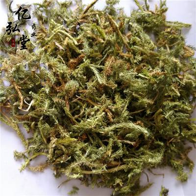 伸筋草用法用量石松功能主治舒筋草藥用價值