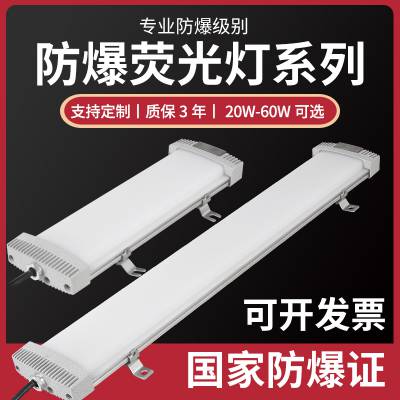 LED防爆荧光灯 一体化单双管防爆日光灯20W