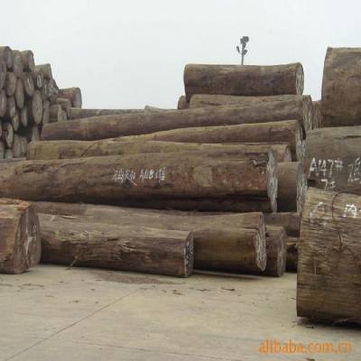 广州木材海运进口清关公司 榉木进口清关