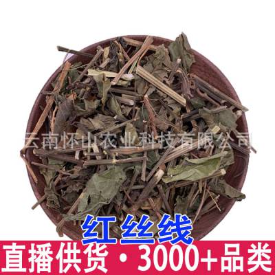 红丝线 十萼茄 衫钮子草 红蓝草煲汤料批发 量大从优