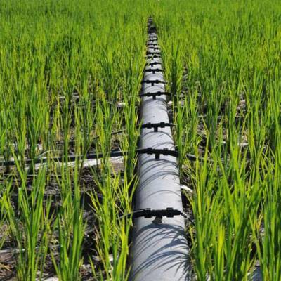 亿碧源供给农业滴灌灌溉管pe管1608mm滴灌管