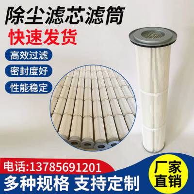 电厂 水泥厂设备用除尘滤筒 粉尘滤芯 规格 162*2000 隆信供应