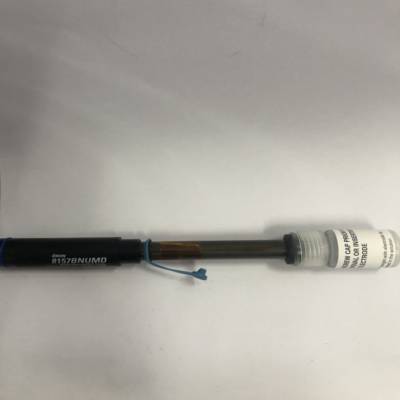ĬThermo Orion9719BNWPӸϵ缫