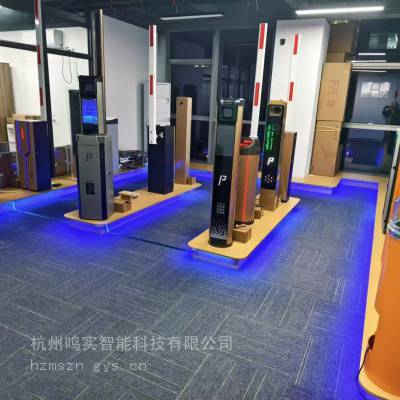 ����ͣ��������ϵͳ������ʶ���բ��������բ������բ��װ