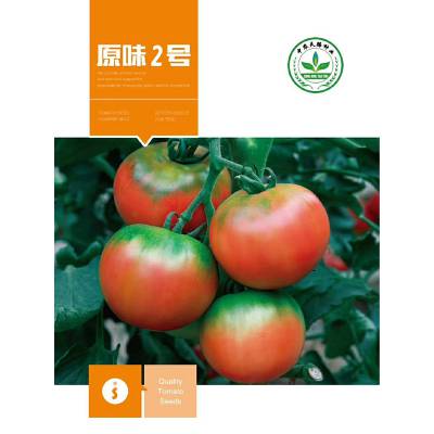水果西红柿种子原原味2号好吃的番茄种子品种