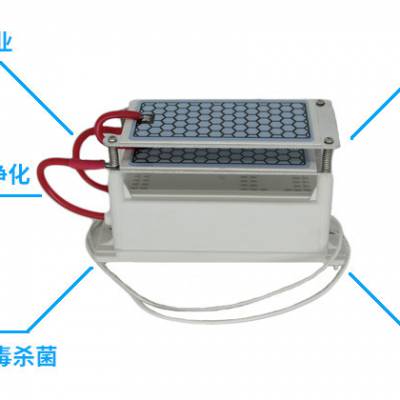 工厂供应臭氧发生器 小型一体化家庭适用臭氧高压包 医疗防护臭氧消毒机