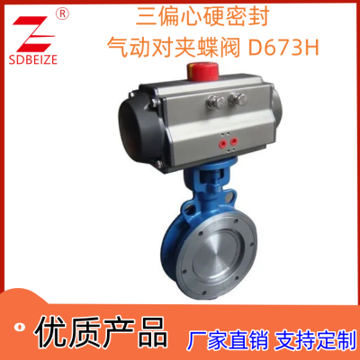 ̼ ˫ ƫӲܷԼе D673H