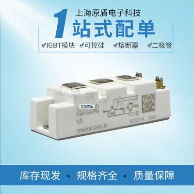 ſ׿SKM200GB063DȫIGBTģר