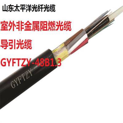 供应太平洋光缆 GYFTZY 48芯单模 导引光缆 室外非金属阻燃光缆