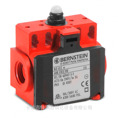 BERNSTEIN˹̹ش D-SU1 RW 6041168162