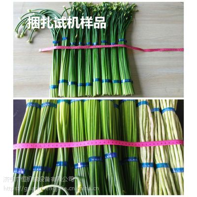 浙江温州小型蔬菜捆扎机绿色蔬菜无胶带扎捆机