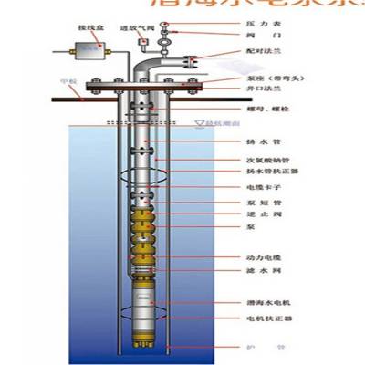水厂供水热水深井泵 地热采暖 大流量 水塔供水 高承载