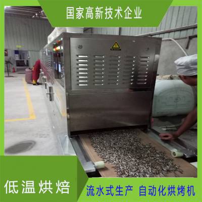全自动松子熟化机 坚果松子熟化机 连续式烘焙熟化机