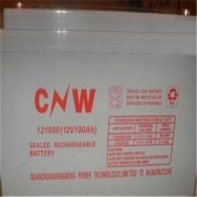 储霸CNW蓄电池6-GFM-100 12V100AH 电力系统发电站UPS设备