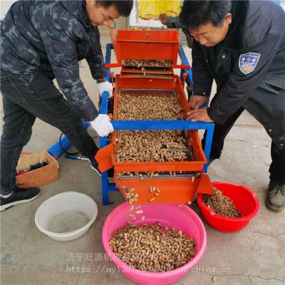 大号豆震动筛选机 双层电动竞选机 小麦玉米种清选机