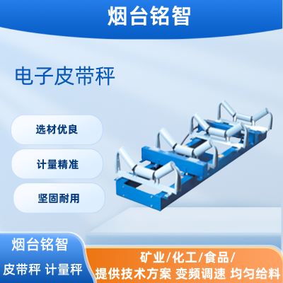 铭智电子皮带秤 ICS恒速自动化调节 防爆散料输送计量秤选矿定量