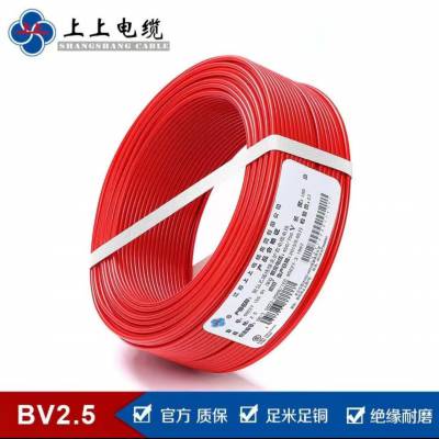 ϵ¼BV 2.5ƽͭоװò