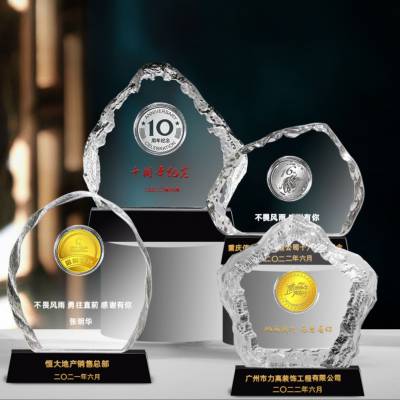 定制水晶镶嵌纪念币奖牌 银行十周年活动礼品 保险行业个人业务表彰奖品