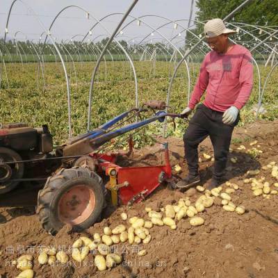 土豆收获机 四轮拖拉机刨地瓜设备小型挖马铃薯机器